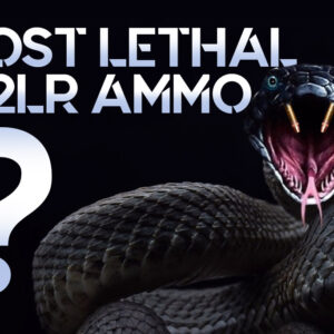 Most Lethal 22LR Ammo