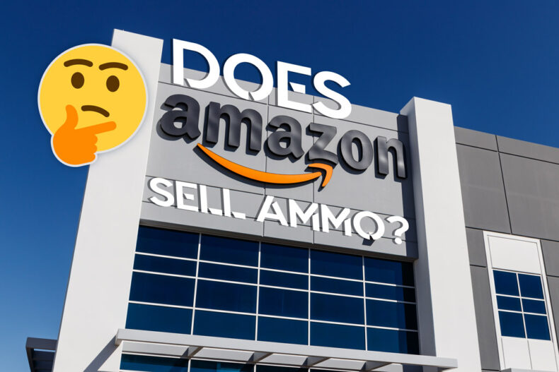 does amazon sell ammo