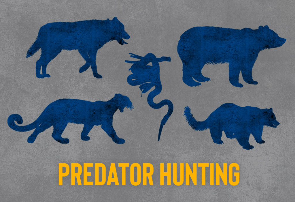 predator hunting