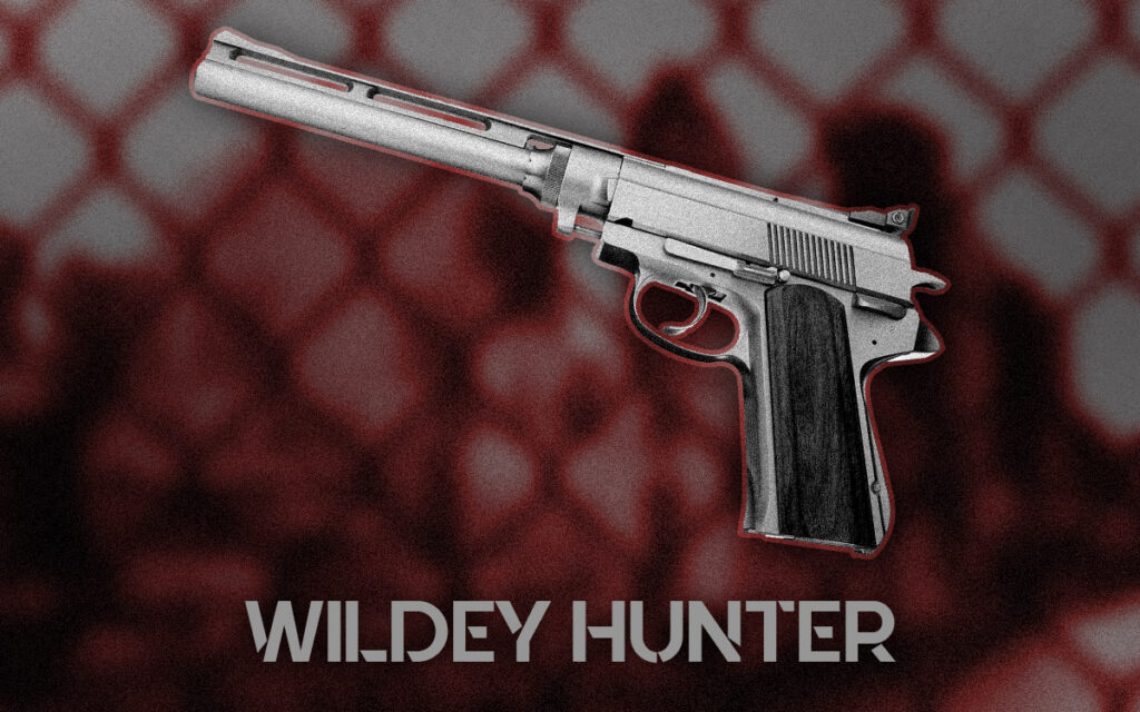 a photo of the Wildey Hunter death wish guns