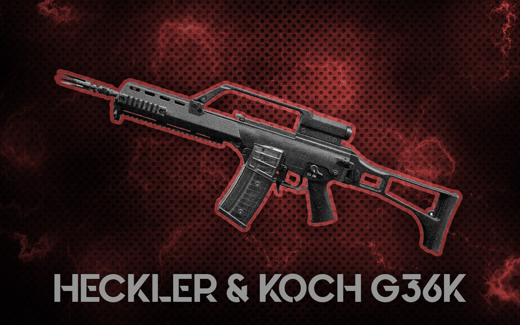 a photo of Heckler & Koch G36K terminator guns