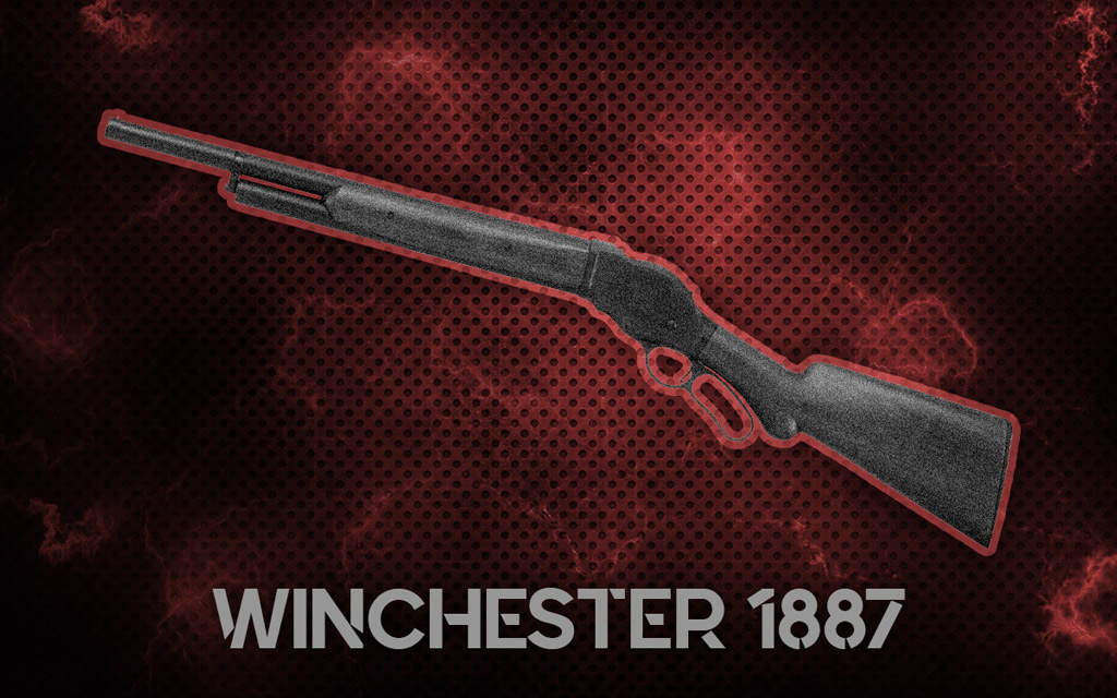 a photo of the Winchester 1887 rifle