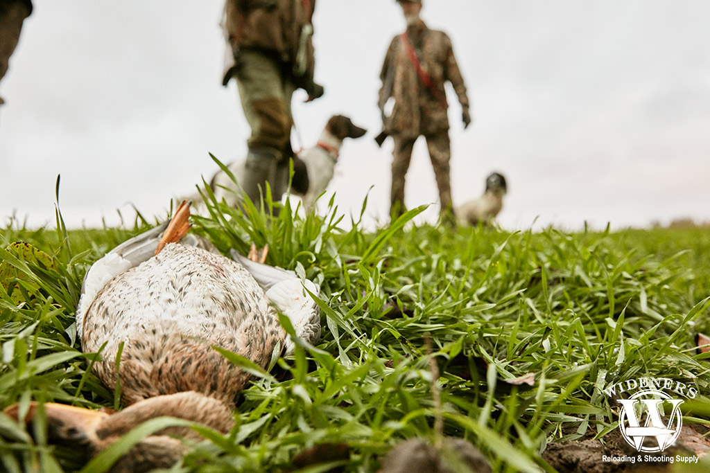 a photo of a duck hunting adventure