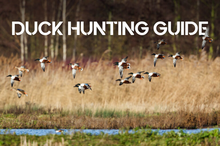 Duck Hunting Guide Wideners Shooting Hunting Gun Blog   WRS Duck Hunting Web 768x512 