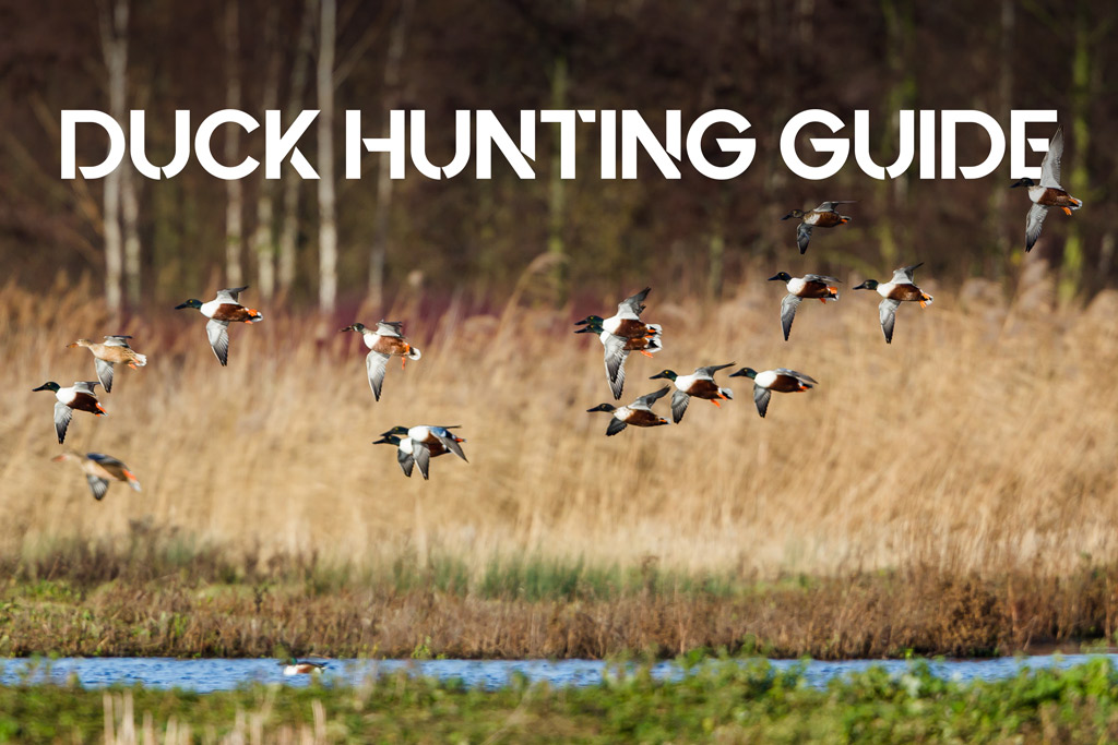 duck hunting