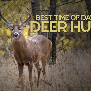 a photo of the Best Time of Day to Hunt Deer
