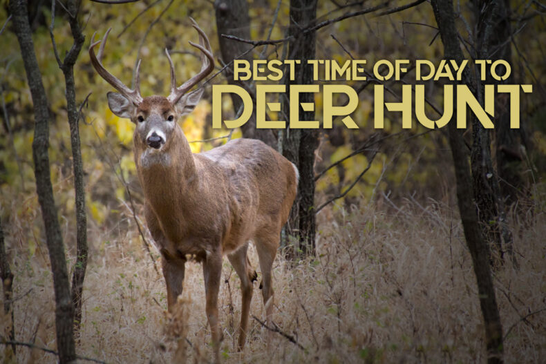 a photo of the Best Time of Day to Hunt Deer