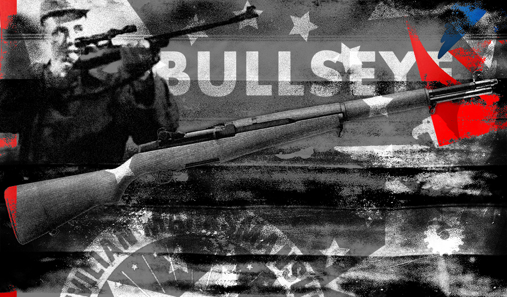 a design featuring the civilian marksman program