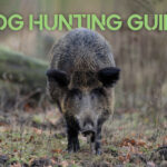 Hog Hunting Guide 