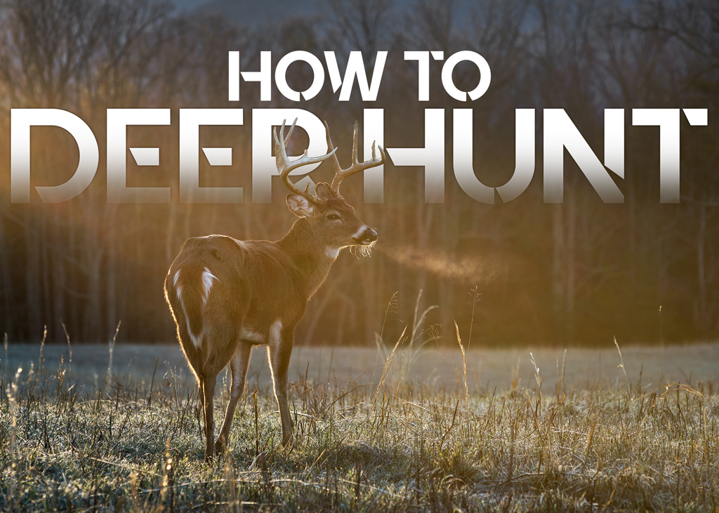 How To Deer Hunt Steps to Success