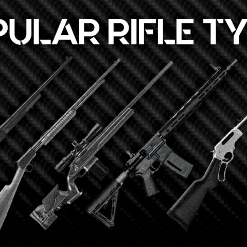Popular Rifle Types