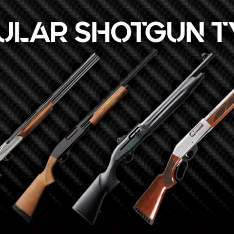 a photo of popular shotgun types