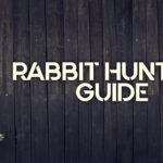 rabbit hunting