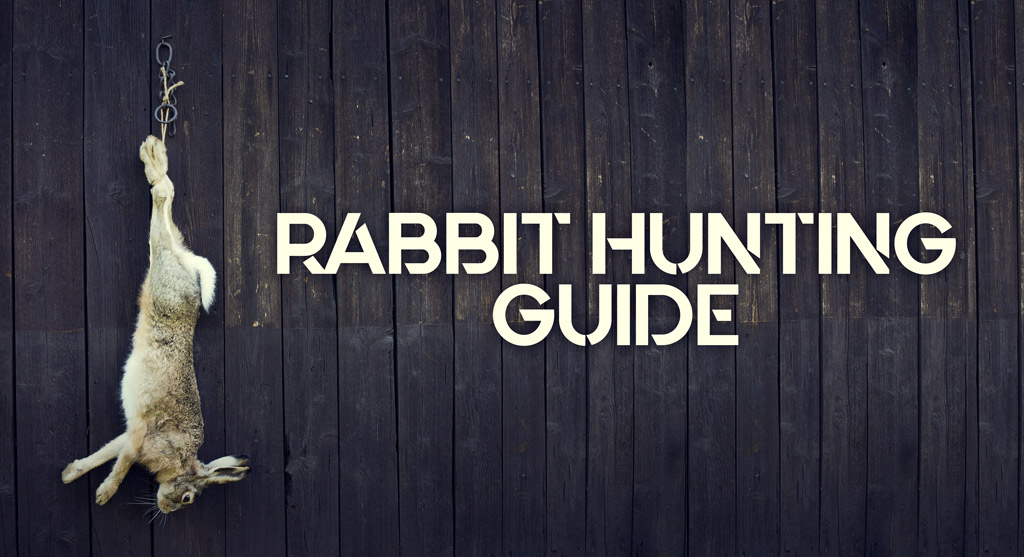 rabbit hunting