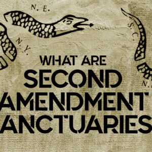 a design for the article second amendment sanctuaries