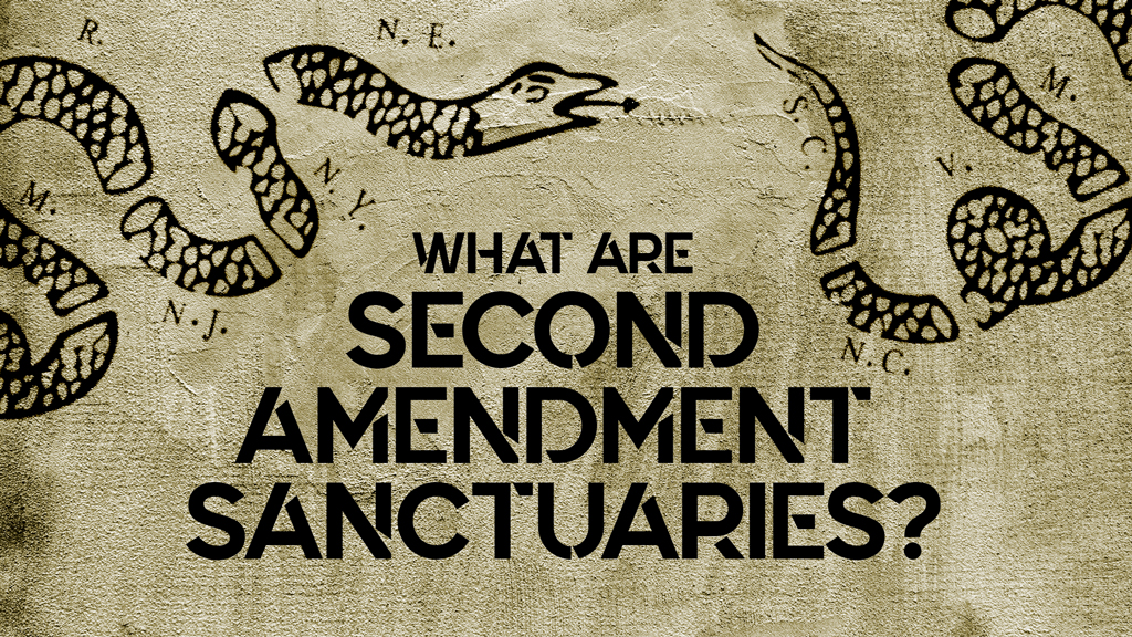 a design for the article second amendment sanctuaries