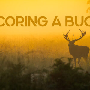 Scoring A Buck
