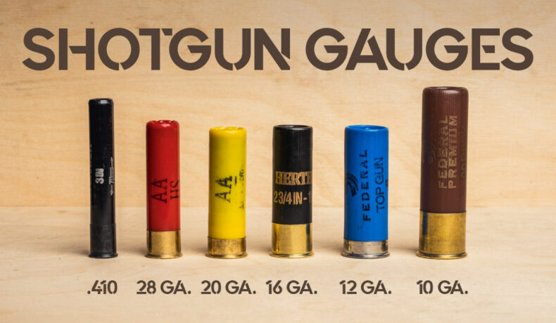shotgun gauges