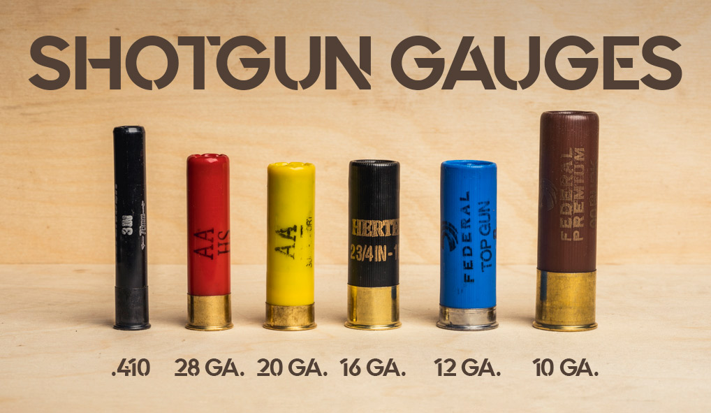 Shotgun Gauges Explained - Wideners Shooting, Hunting & Gun Blog.