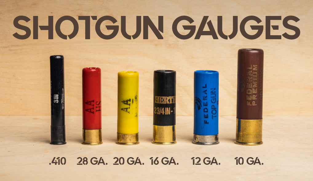 12 Gauge vs. 20 Gauge: Understanding Shotgun Gauges