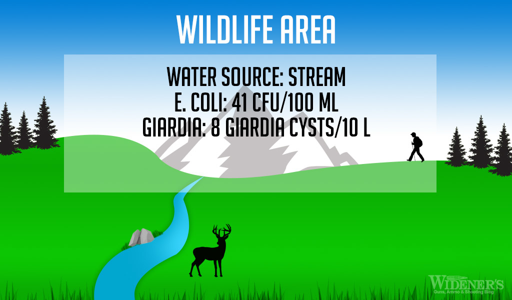 A graphic showing a stream running through a wildlife area as part of our water filter testing