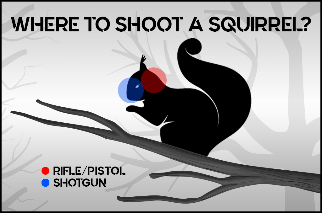 a photo of where to shoot a squirrel