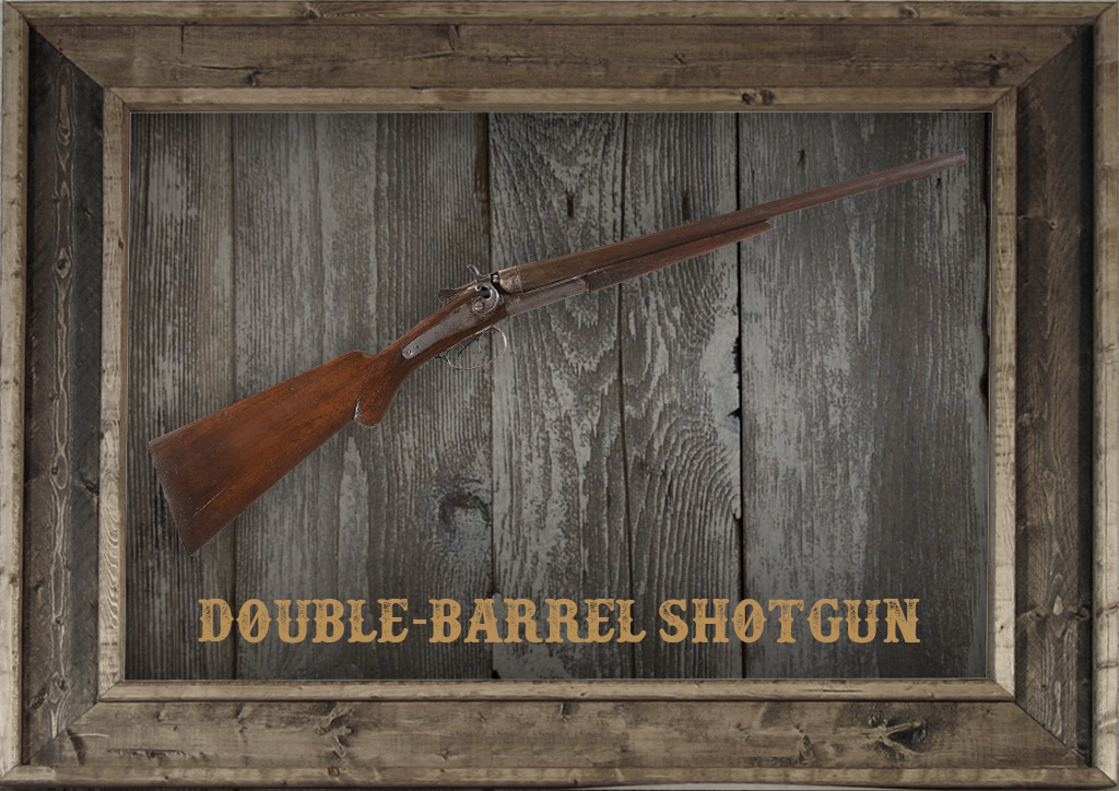 photo of a Double-Barrel Shotgun in a frame