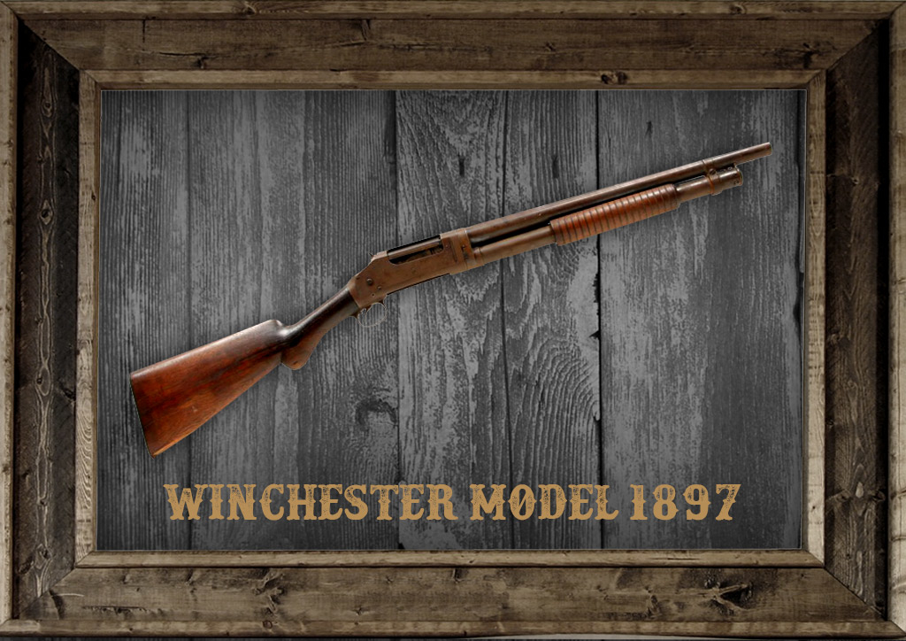 a photo of a winchester model 1897 12 gauge shotgun